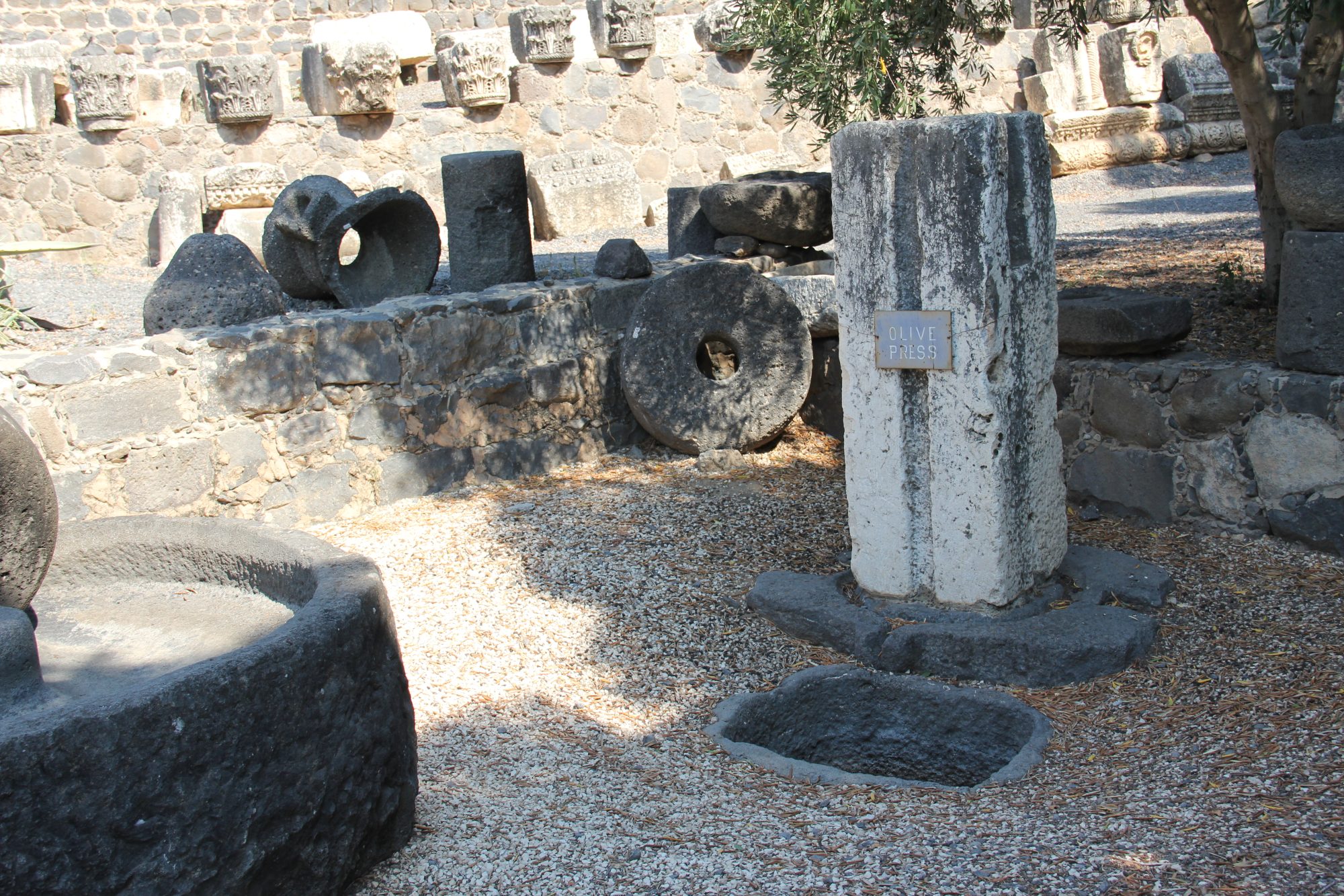 Capharnaum 10